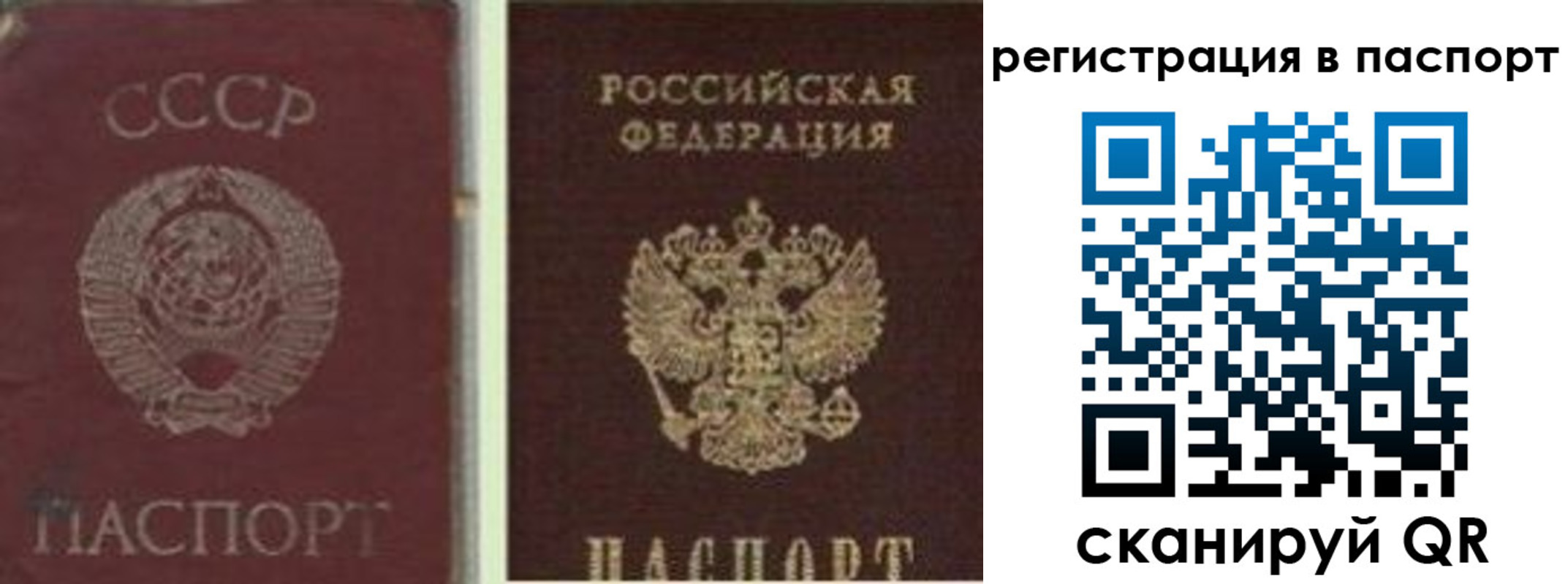 прописка для работы в Тавде